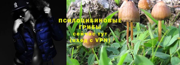 дурь Абаза